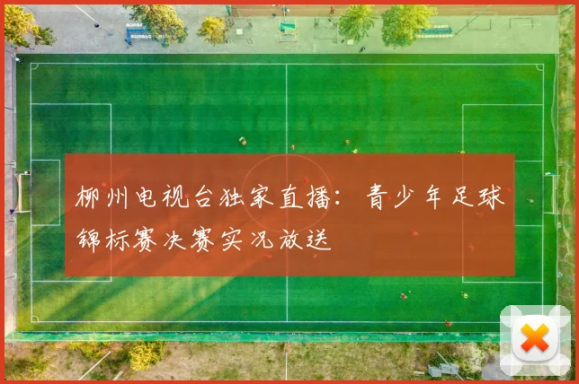 柳州电视台独家直播：青少年足球锦标赛决赛实况放送