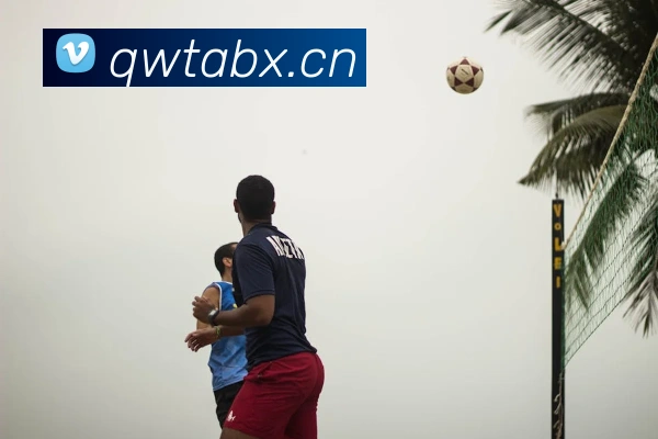 欧宝手机官网平台生态图